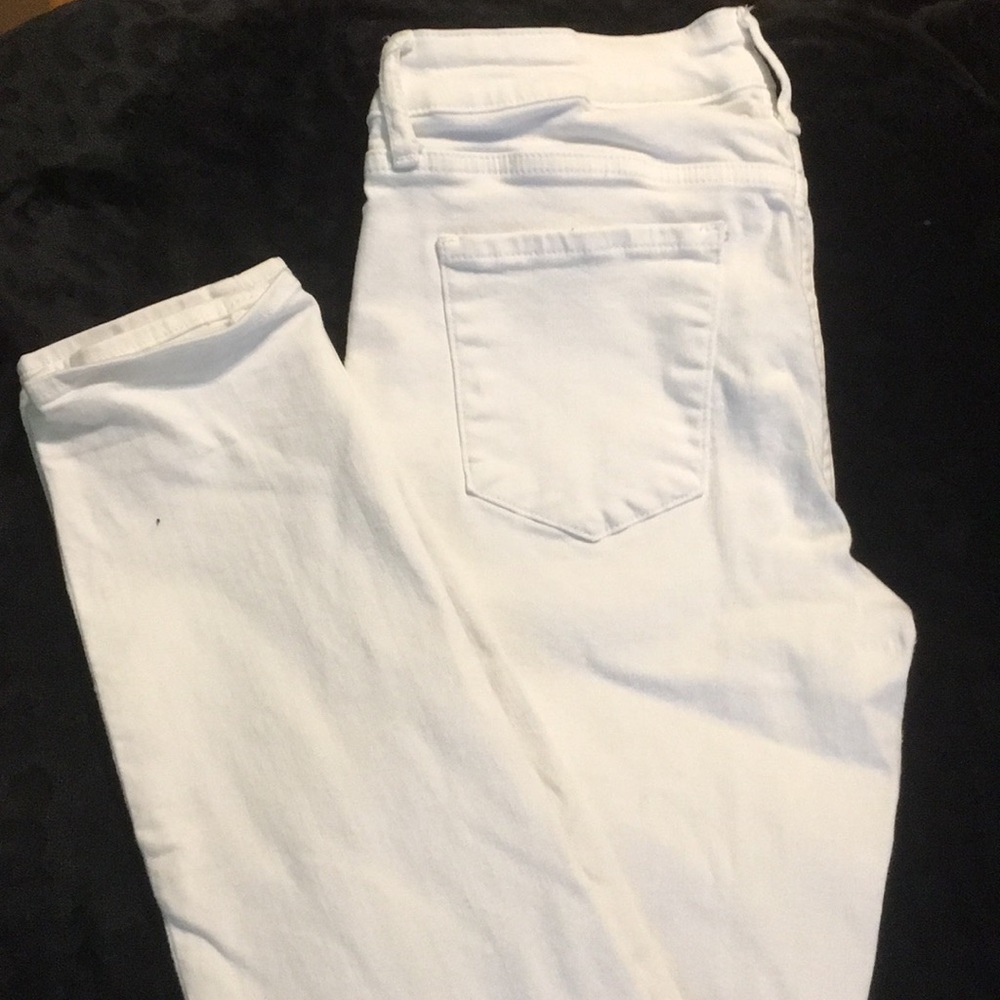 Articles of Society Jean